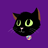 CodingCatDev