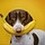 bananaboy47