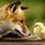 faxfox