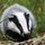 gruffbadger