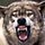 Lonewolf_89