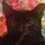 MaggieCat