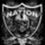 RAIDERRON
