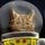 SpaceCat1