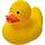Squeezingduck