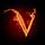 TexasVenom