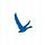 theBlueGoose
