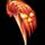 TheCreature