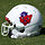 WILDCAT15