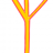 ant555