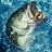 Dumb_Bass