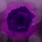 Forstar17