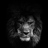 Lion20x