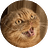 EpicKitty