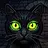 ShadowWhisker