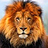 Shailesh_Desai