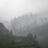 Dhruv_J