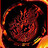 New_Zorotrancheur