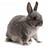 joyfulrabbit