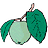 tuaris