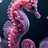 Seahorse