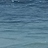 BP1990278