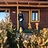 Resa_R_Bakir_Bakir