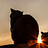 Samel_S