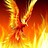 Phoenix211