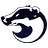 ssdark