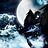 ShadowsNight