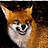 FoXiCZEk