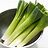Greenleek