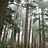 ranknovice ranknovice