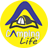 Camping_Life
