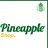 pineapple_Shop