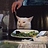 thomas_e