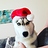 Guardog