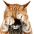 Mackiavelly