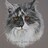 jopetportraits