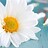 LazyDaisyDesigns