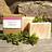 WestmorlandSoaperie