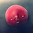 assasin2498