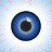 BlueLotu5