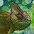 FlukeyPear115