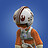Goose8674