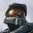 Rook_008