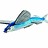 flying-fish