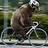 A_Bear_In_Training