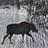 A_lmost_Idaho5224